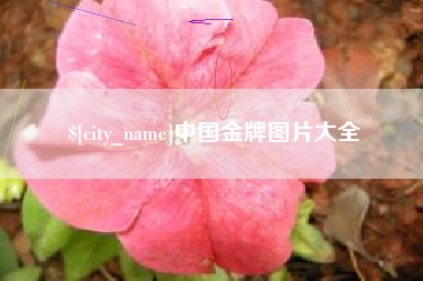 宜都中国金牌图片大全