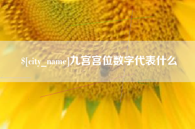 宜都九宫宫位数字代表什么