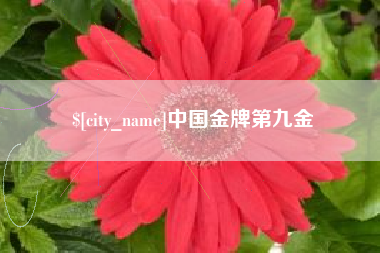 宜都中国金牌第九金