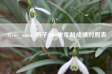 宜都男子5000米年龄成绩对照表