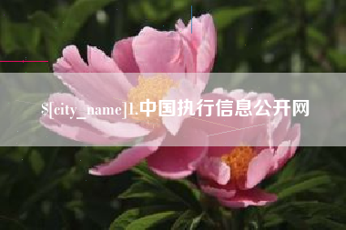 宜都1.中国执行信息公开网