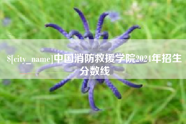 宜都中国消防救援学院2024年招生分数线
