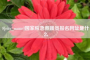 宜都国家应急救援员报名网址是什么