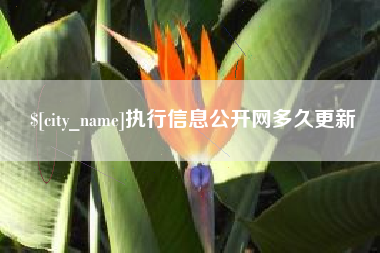 宜都执行信息公开网多久更新