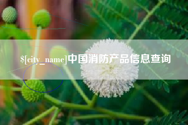 宜都中国消防产品信息查询