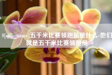 宜都五千米比赛领跑员是什么-他们就是五千米比赛领跑员