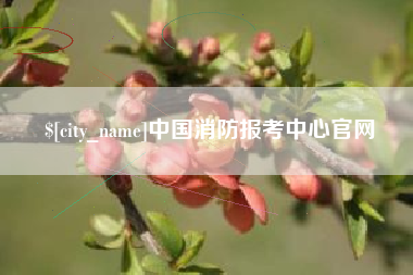 宜都中国消防报考中心官网