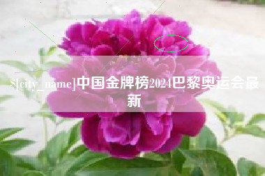 宜都中国金牌榜2024巴黎奥运会最新
