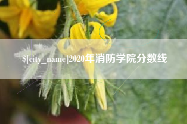 宜都2020年消防学院分数线
