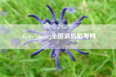 宜都全国消防招考网