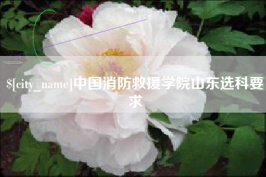 宜都中国消防救援学院山东选科要求