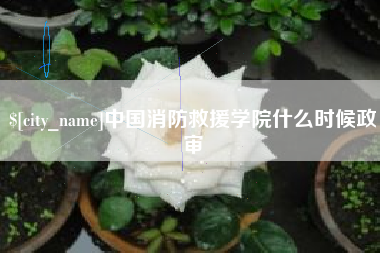 宜都中国消防救援学院什么时候政审
