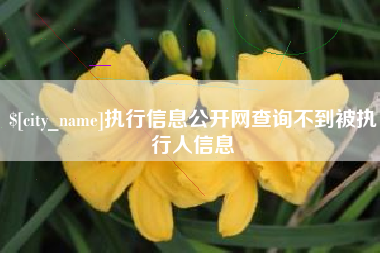 宜都执行信息公开网查询不到被执行人信息