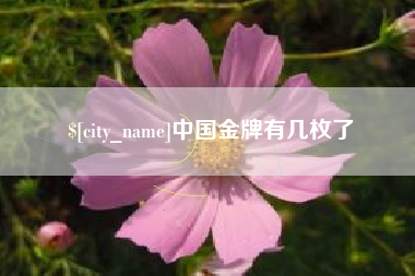 宜都中国金牌有几枚了