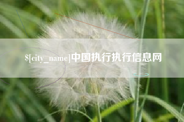 宜都中国执行执行信息网