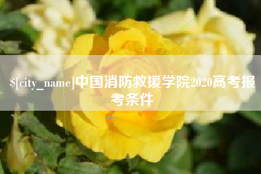 宜都中国消防救援学院2020高考报考条件