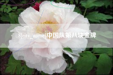 宜都中国队第八块金牌