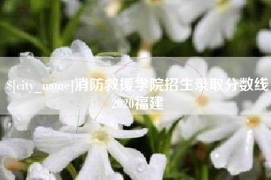 宜都消防救援学院招生录取分数线2020福建