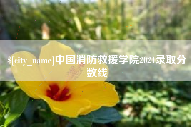 宜都中国消防救援学院2021录取分数线