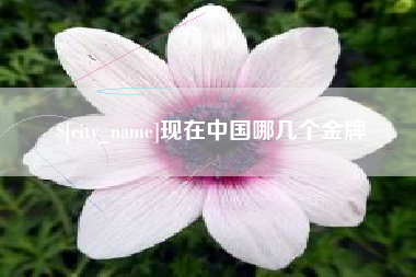 宜都现在中国哪几个金牌
