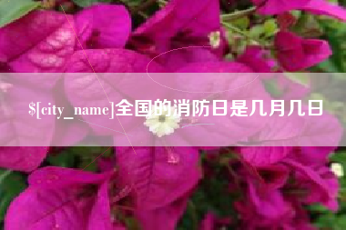 宜都全国的消防日是几月几日