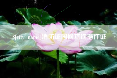 宜都消防证国网查询操作证