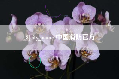 宜都中国消防官方
