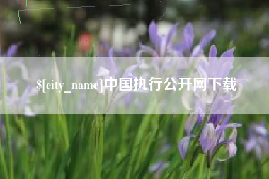 宜都中国执行公开网下载