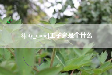宜都王子豪是个什么