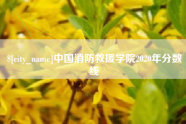 宜都中国消防救援学院2020年分数线