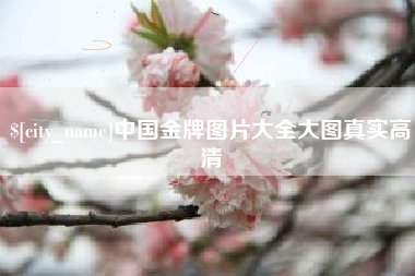 宜都中国金牌图片大全大图真实高清