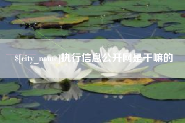 宜都执行信息公开网是干嘛的