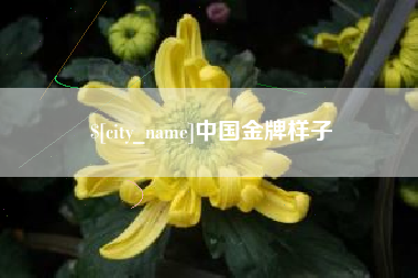 宜都中国金牌样子