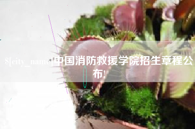 宜都中国消防救援学院招生章程公布!
