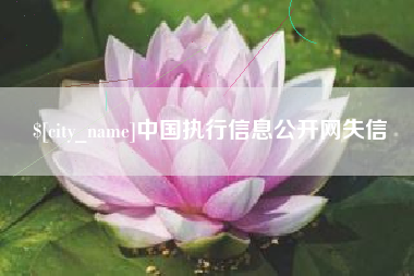 宜都中国执行信息公开网失信