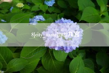 宜都2022九宫