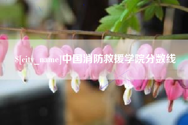 宜都中国消防救援学院分数线