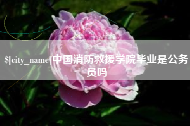 宜都中国消防救援学院毕业是公务员吗