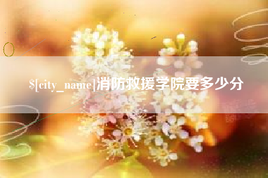 宜都消防救援学院要多少分
