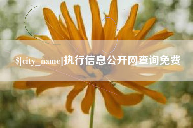 宜都执行信息公开网查询免费