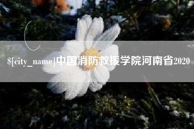 宜都中国消防救援学院河南省2020